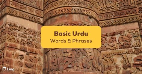 200+ Basic Urdu Words And Phrases: An Easy Guide .